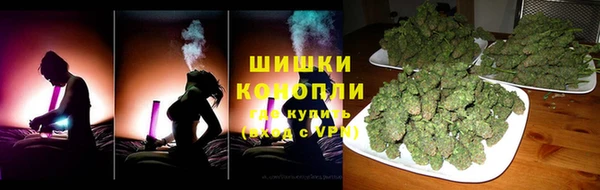 ПСИЛОЦИБИНОВЫЕ ГРИБЫ Богданович