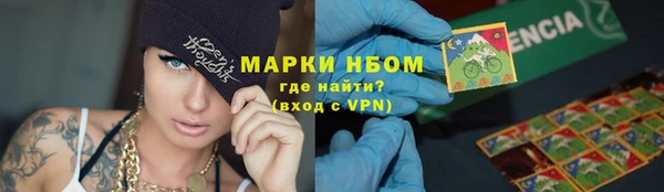 ПСИЛОЦИБИНОВЫЕ ГРИБЫ Богданович
