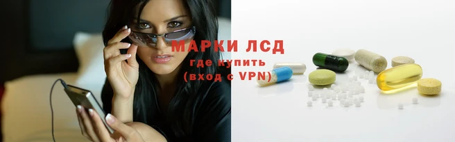 ПСИЛОЦИБИНОВЫЕ ГРИБЫ Богданович