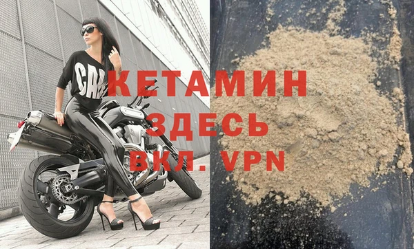 прущие грибы Карпинск