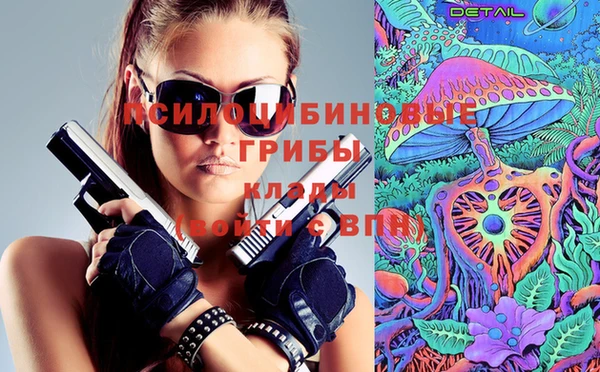ПСИЛОЦИБИНОВЫЕ ГРИБЫ Богданович