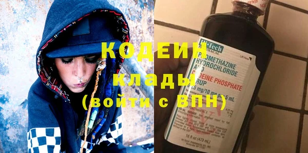 ПСИЛОЦИБИНОВЫЕ ГРИБЫ Богданович