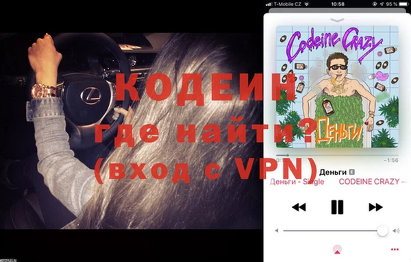 ПСИЛОЦИБИНОВЫЕ ГРИБЫ Богданович