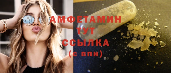 ПСИЛОЦИБИНОВЫЕ ГРИБЫ Богданович