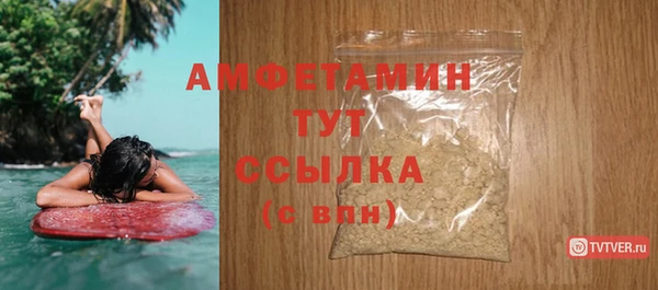 ПСИЛОЦИБИНОВЫЕ ГРИБЫ Богданович