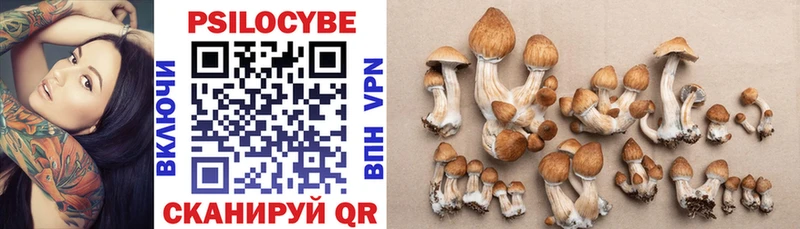 Галлюциногенные грибы мухоморы  Кинель 